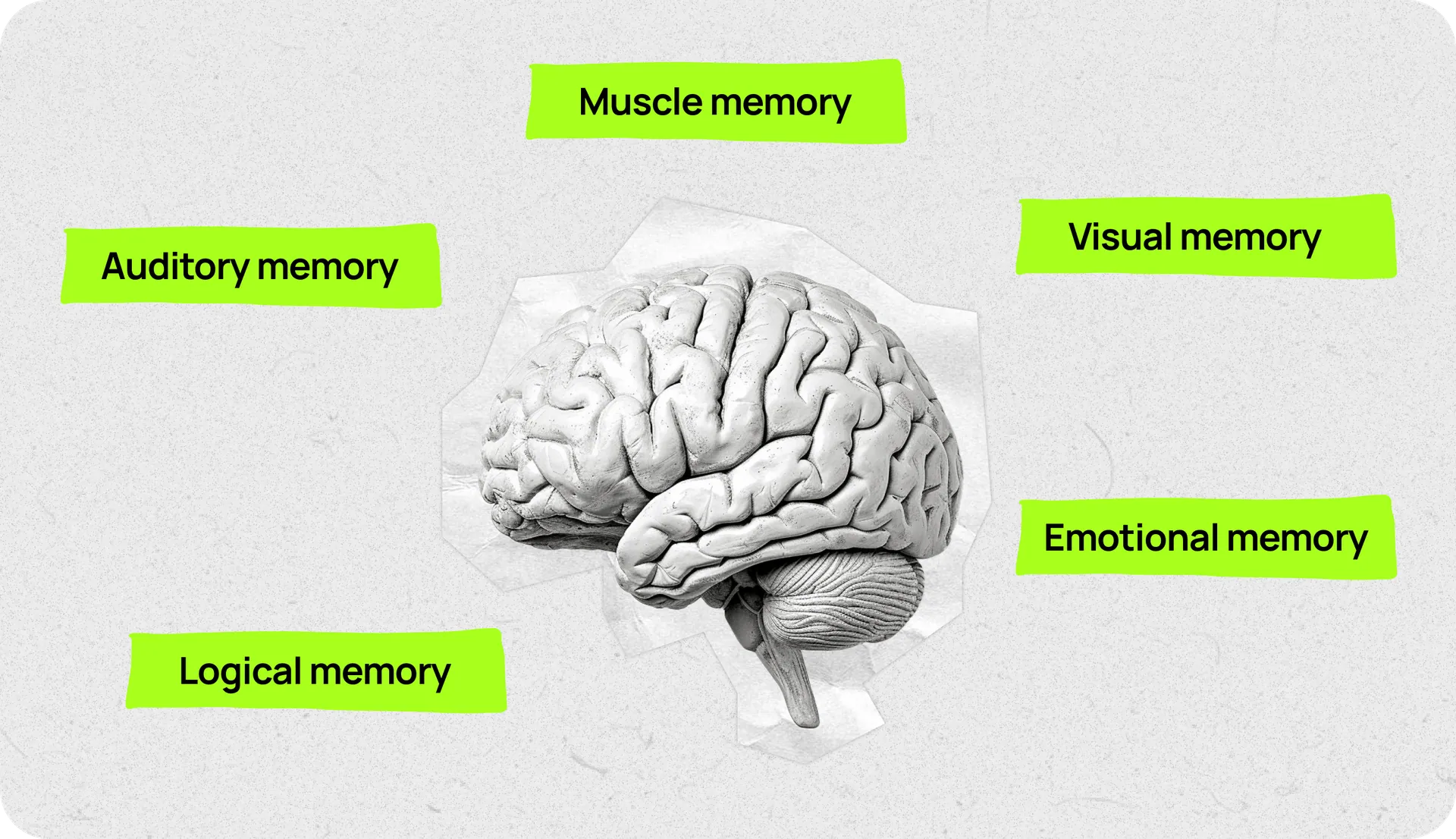 Memory types illustration
