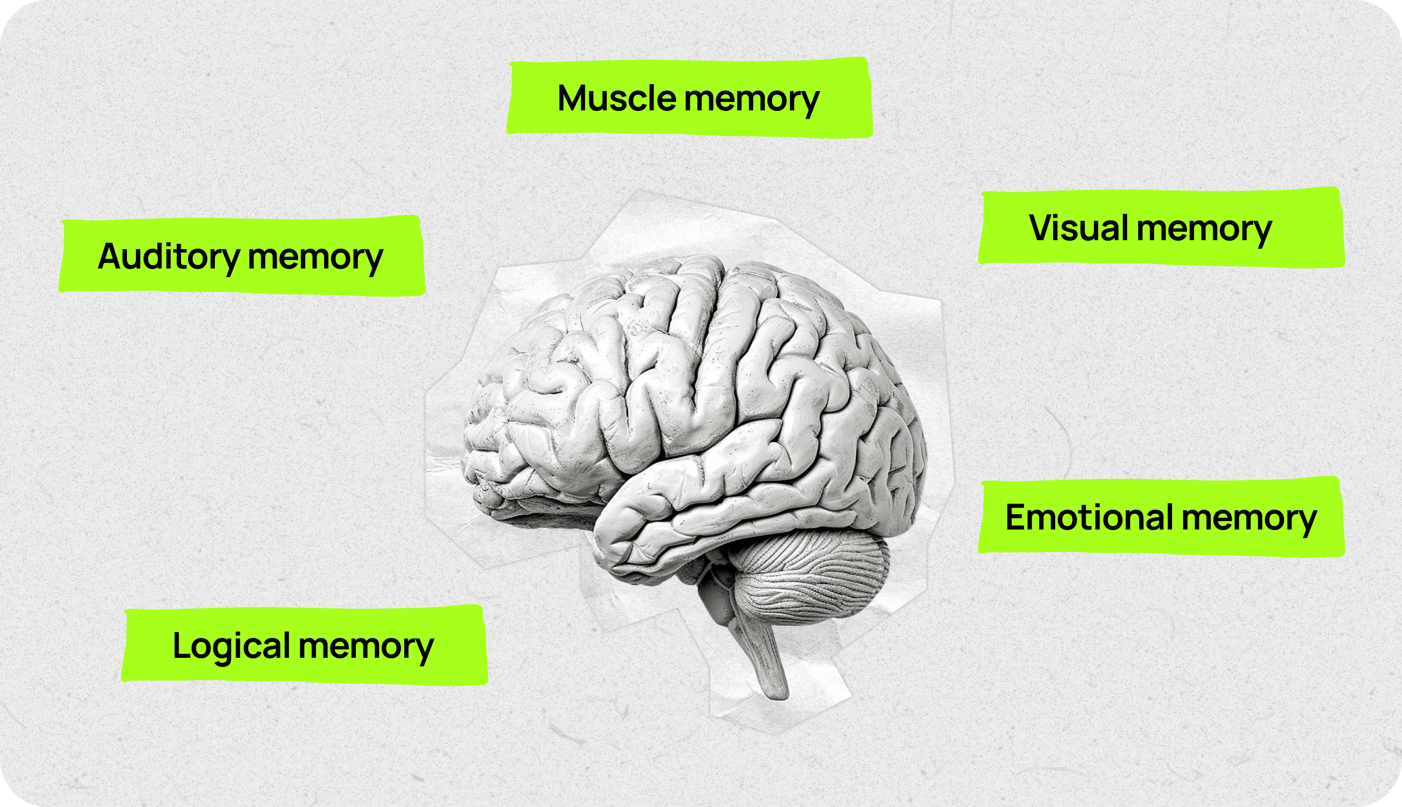 Memory types illustration